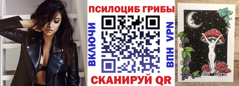 Псилоцибиновые грибы GOLDEN TEACHER сколько стоит Моршанск